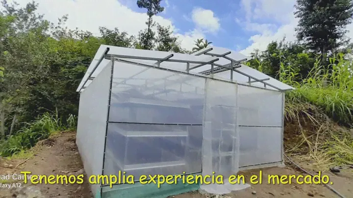 secador solar para café pergamino. ¿por que elegirnos?