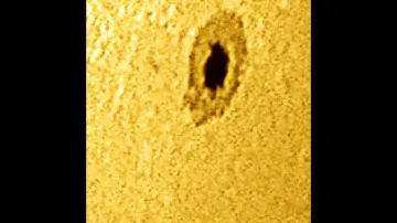 Sunspots and granulation through 10" telescope and Baader solar film