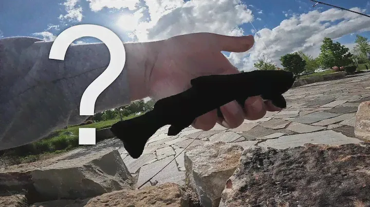 This Fish Has Never Been Stocked in a Local Pond Before!!! (Stocked Trout Fishing)