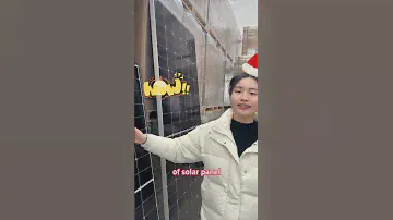 Unboxing blog of LONGI HPBCSolar Panel #solar #renewableenergy #Moregosolar