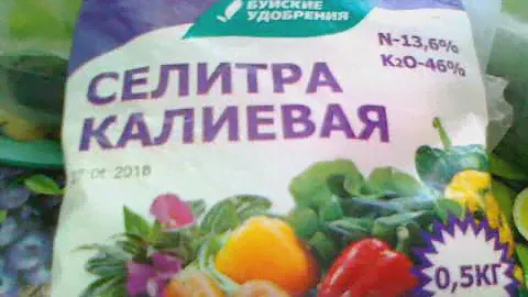 Калиевая селитра сделает ваш урожай вкуснее.