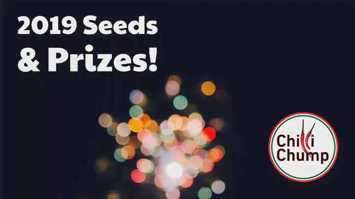 2019 Chilli Seeds!