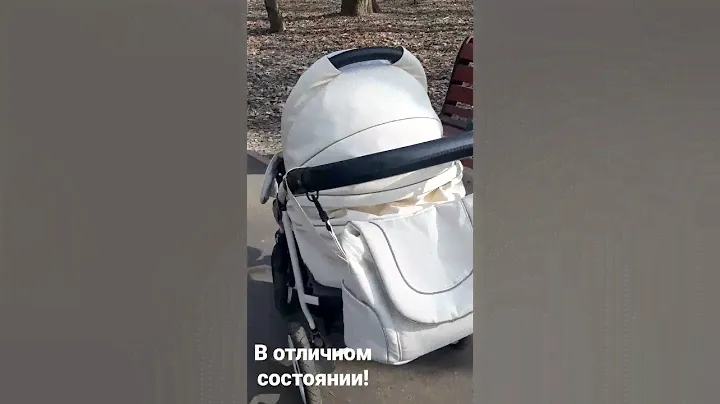 Коляска Indigo 3in1