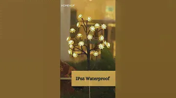 Solar Lights Firefly Lamp-Illuminate Your Space & Transform Your Home with Powerful LED Solar Lights