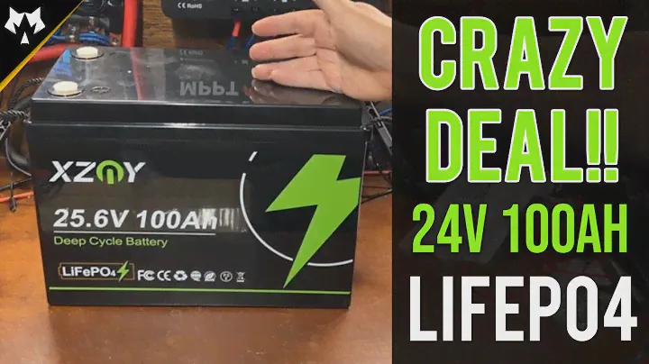 XZNY 24v 100ah LifePO4 Battery Review - 24v Mini?