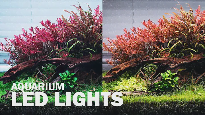 DIFFERENT LED LIGHTS ON OUR AQUASCAPE - AQUARIUM LIGHTING FOR YOUR AQUARIUM PLANTS