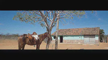 Sani Solar - Apresentação