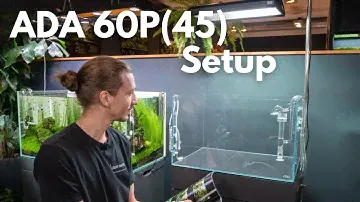Brazilian Style Aquascape Setup - ADA 60P45