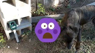 Anglink: Ultrasonic Solar Powered Animal Repeller,