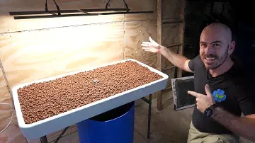 DIY Flood and Drain Table: Set Up, Grow and Timelapse