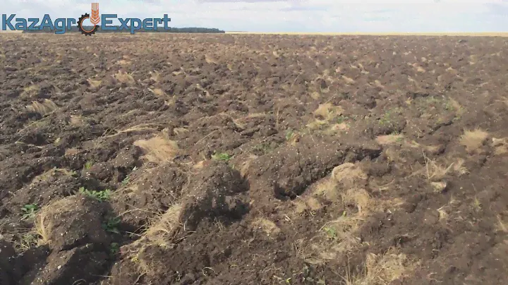 Борона дисковая БДМ 6х4 П