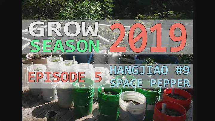 Grow Season 2019 - Episode 05 - Hangjiao #9 - Space Pepper
