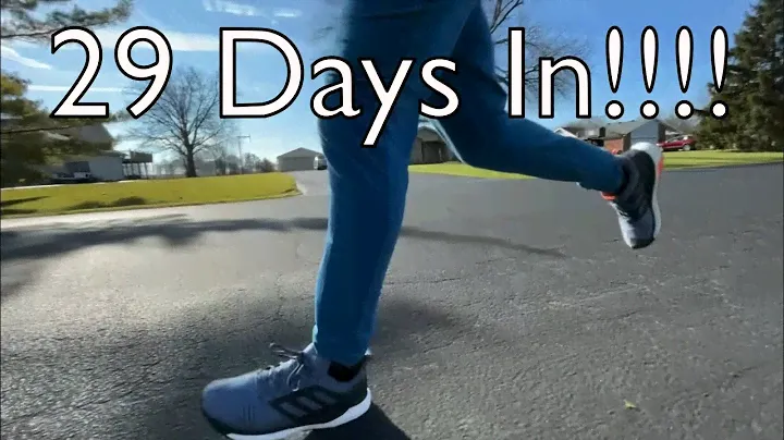 Day 29 Running + Adidas Solar Glide ST Shoes