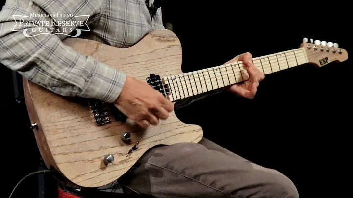 ESP USA TE-II HT Electric Guitar