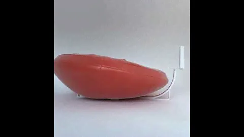3D Model of Red Leather Sofa With Pillows And Tv Review