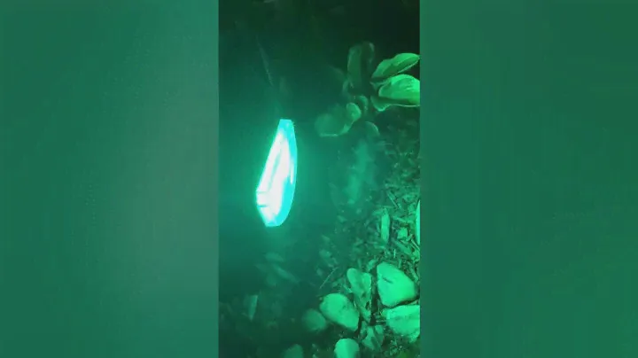 Customer Reviews Kyosho Multicolor Solar Spot LED Lights Outdoor  Color Changing Halloween Christmas
