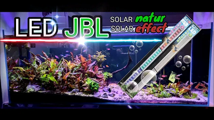 JBL Led Solar Natur et Led Effect