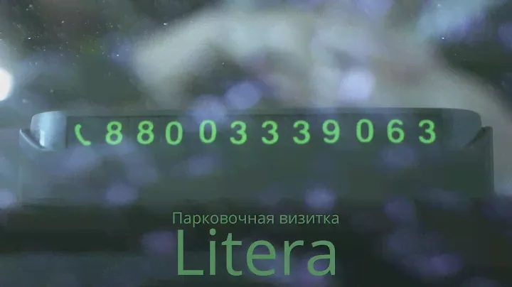 Парковочная визитка Litera