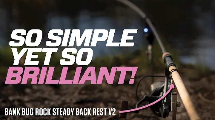 Is this the best back rest in the world? | Bank Bugs Rock Steady Back Rest V2