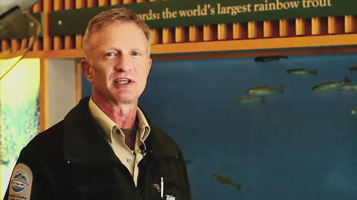 Fishing with Rod: World's Largest Rainbow Trout
