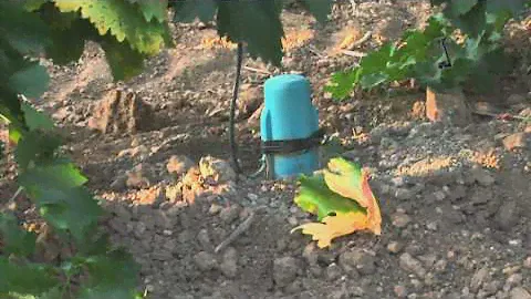 Grupo de Bodegas Martinez Bujanda en La Rioja España