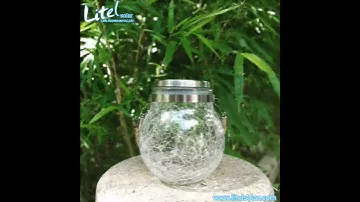 Outdoor Hanging Solar Lights