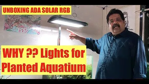 Best Light for Planted Aquarium #Unboxing #ADA Solar RGB, Planted Tank Lights, Best Aquarium Light