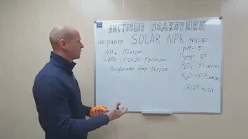 Влияние комплекса листовых подкормок SOLAR NPK Micro от Группы "Уралхим" на урожайность рапса