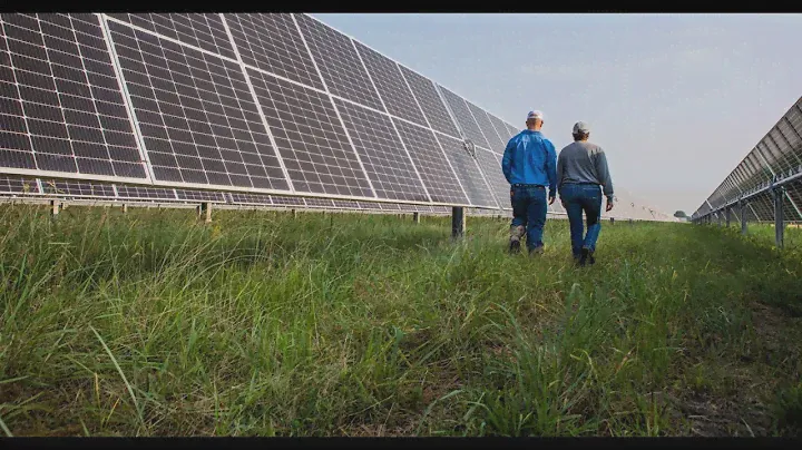 A day in the life of a solar farm: 260MW Impact solar in Texas, USA | Lightsource bp