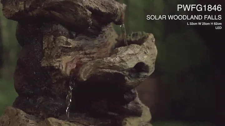 PWFG1846 SOLAR WOODLAND FALLS