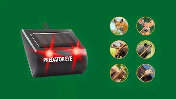 Predator Eye Pro - Solar Powered Animal Repeller