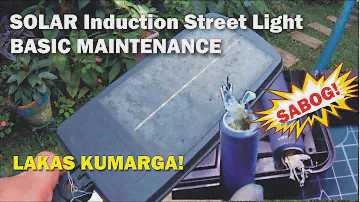 6 COB Solar Induction Street Light After a Year